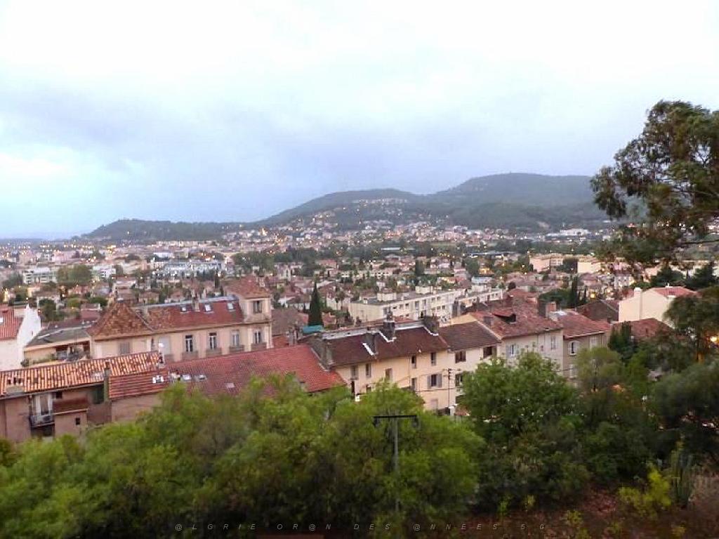 183 HYERES ET SES PALMIERS D14_000004.jpg